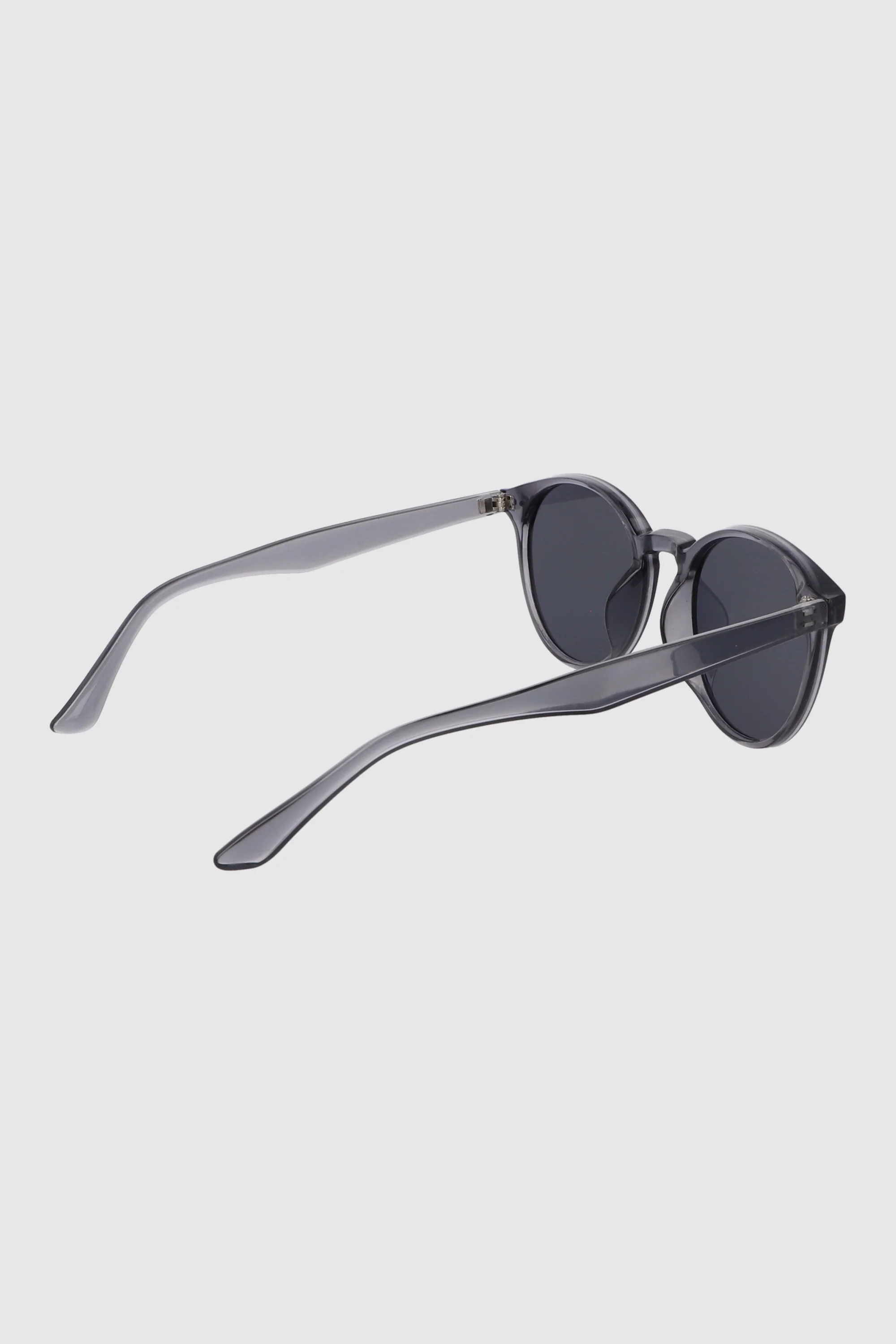 Lentes circular pasta - Image 4