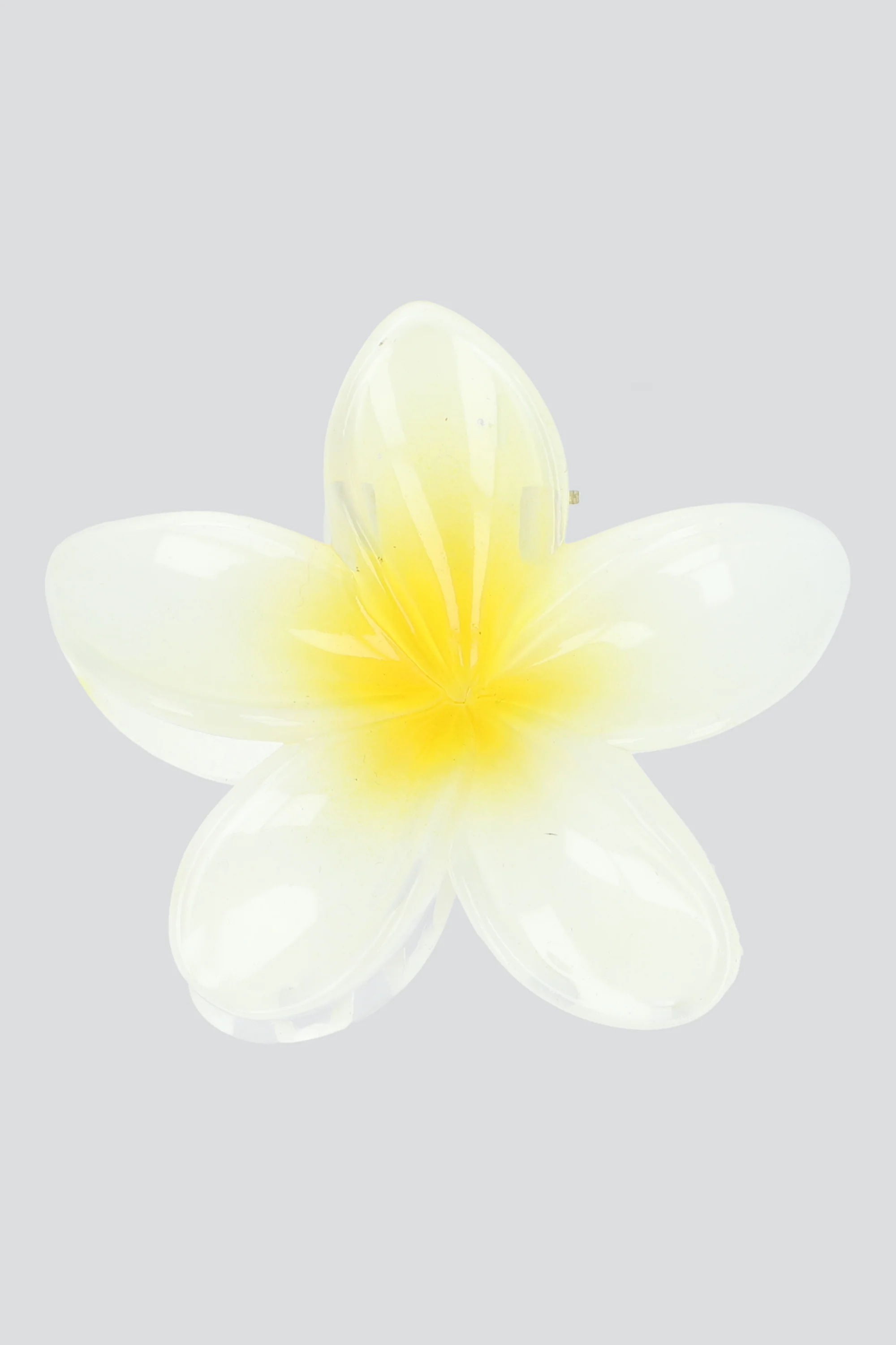 Pinza hawaiana color