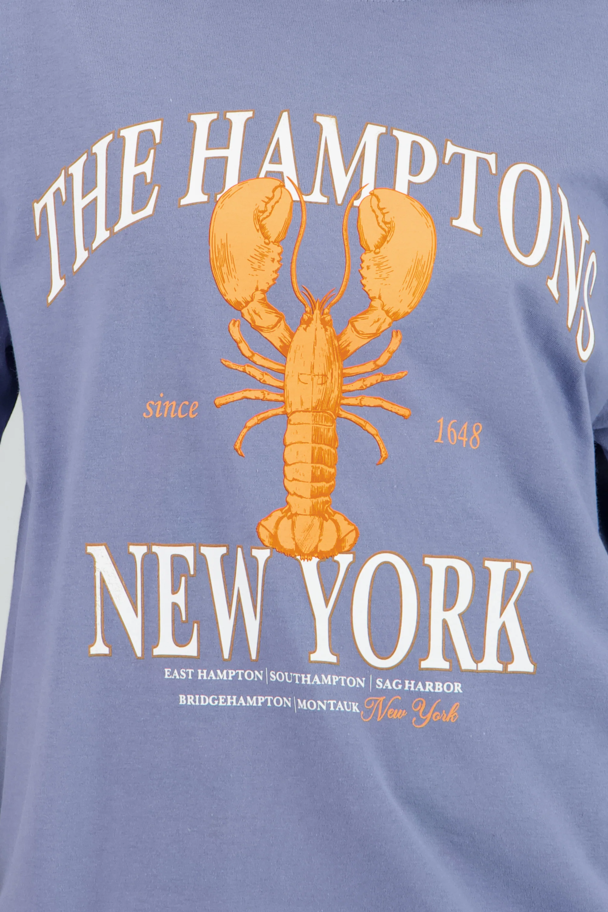 Playera estampado langosta new york - Image 5