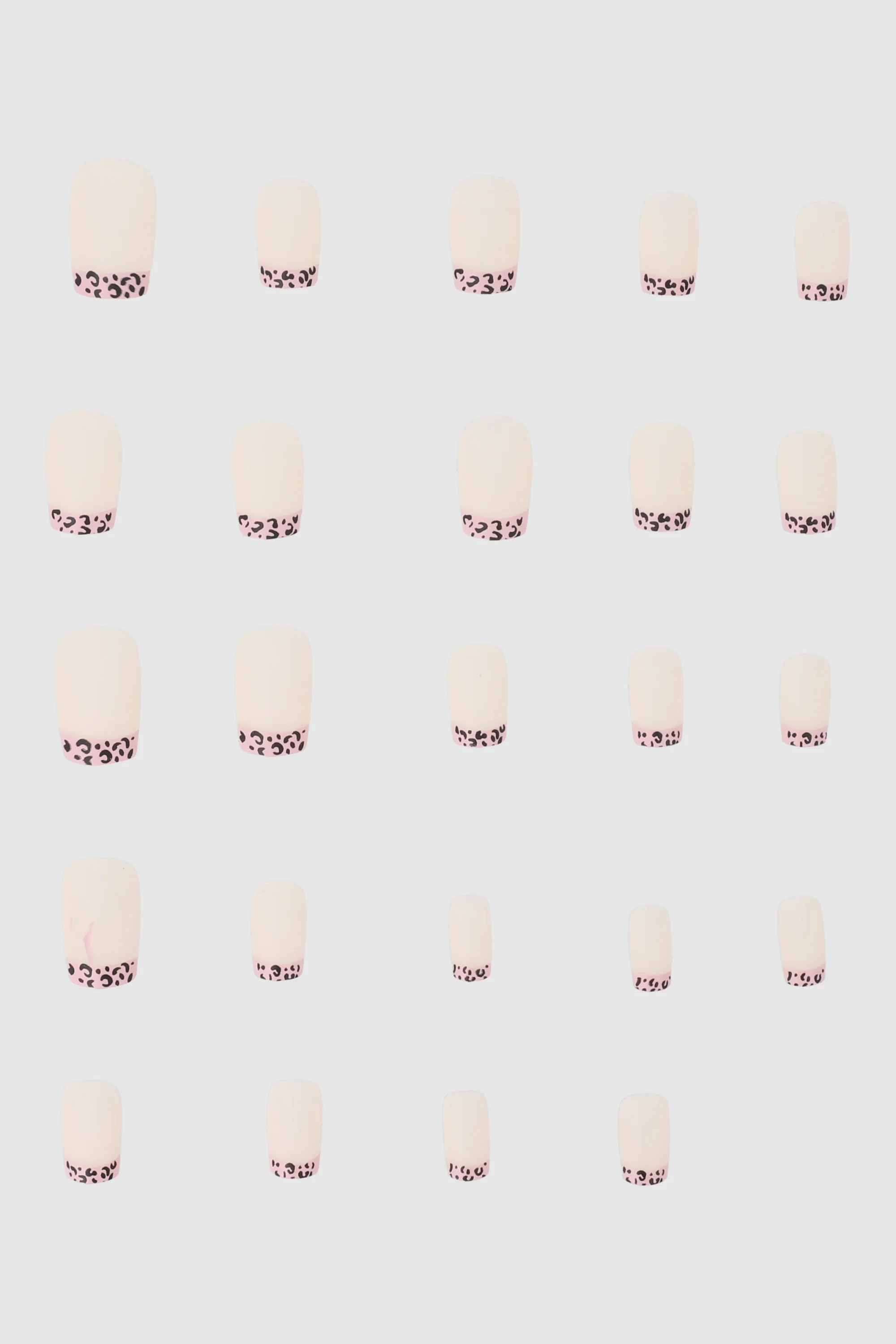 Set 24 french animal print