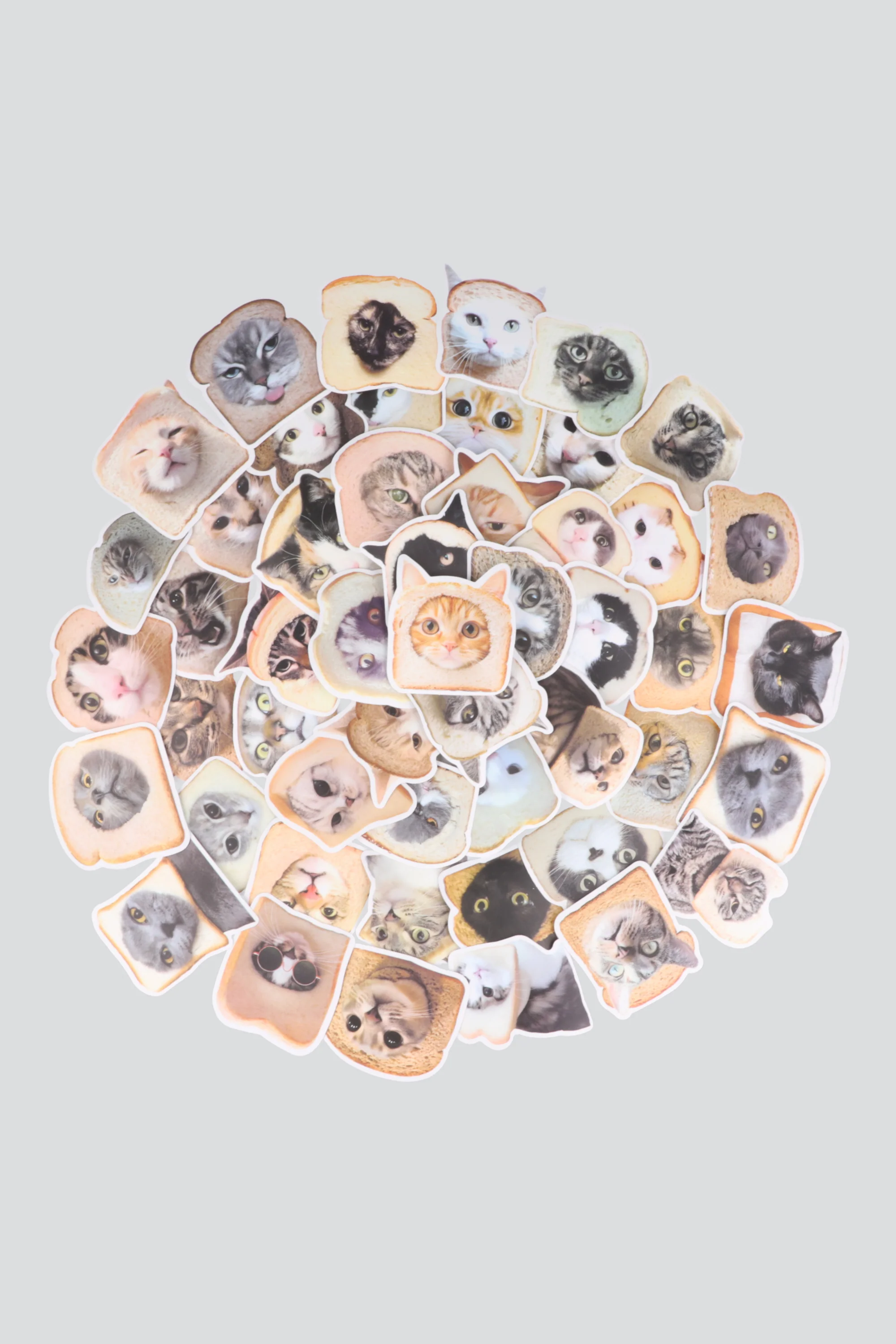 Set 50 stickers gato pan