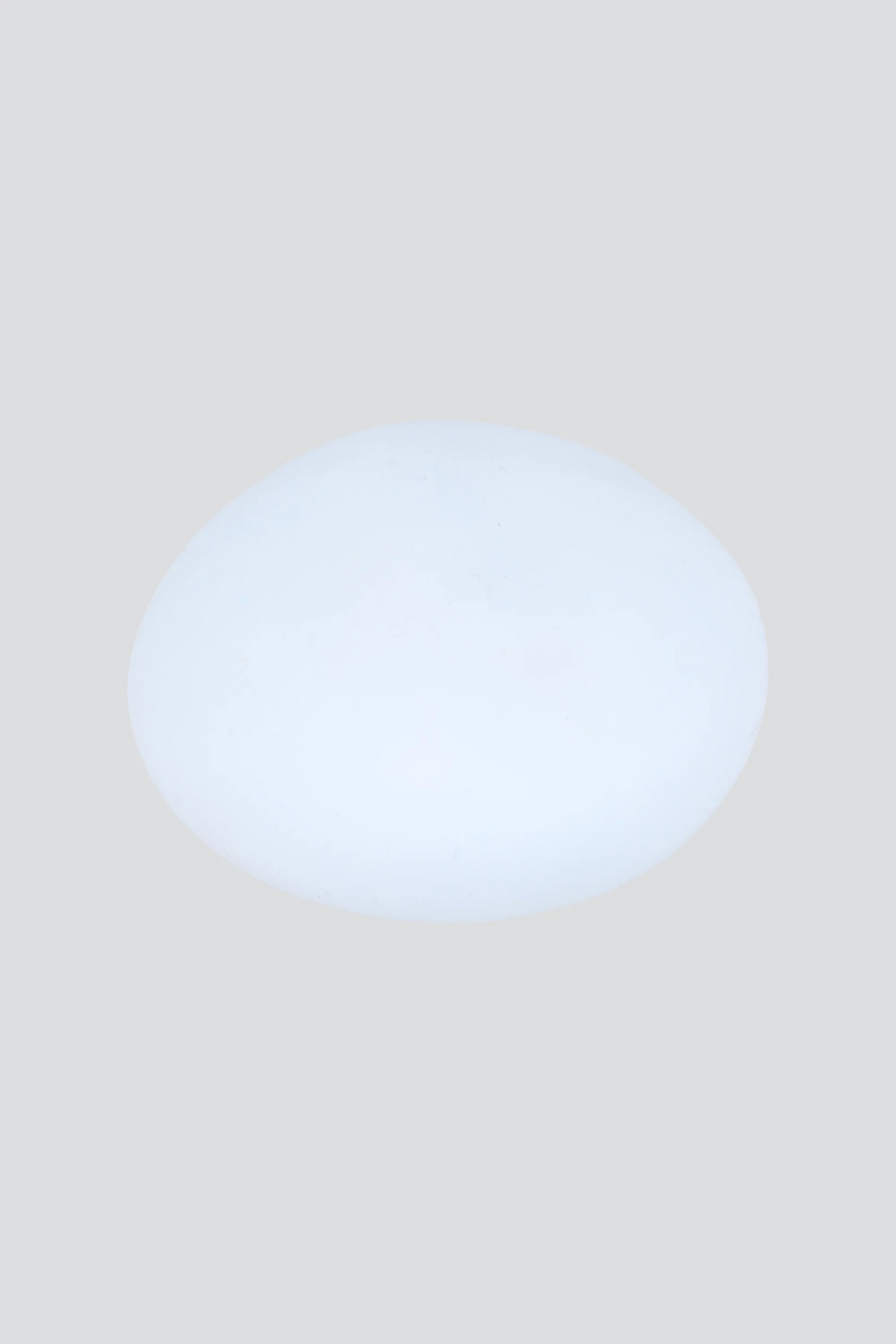 Squishy multiforma - Image 2