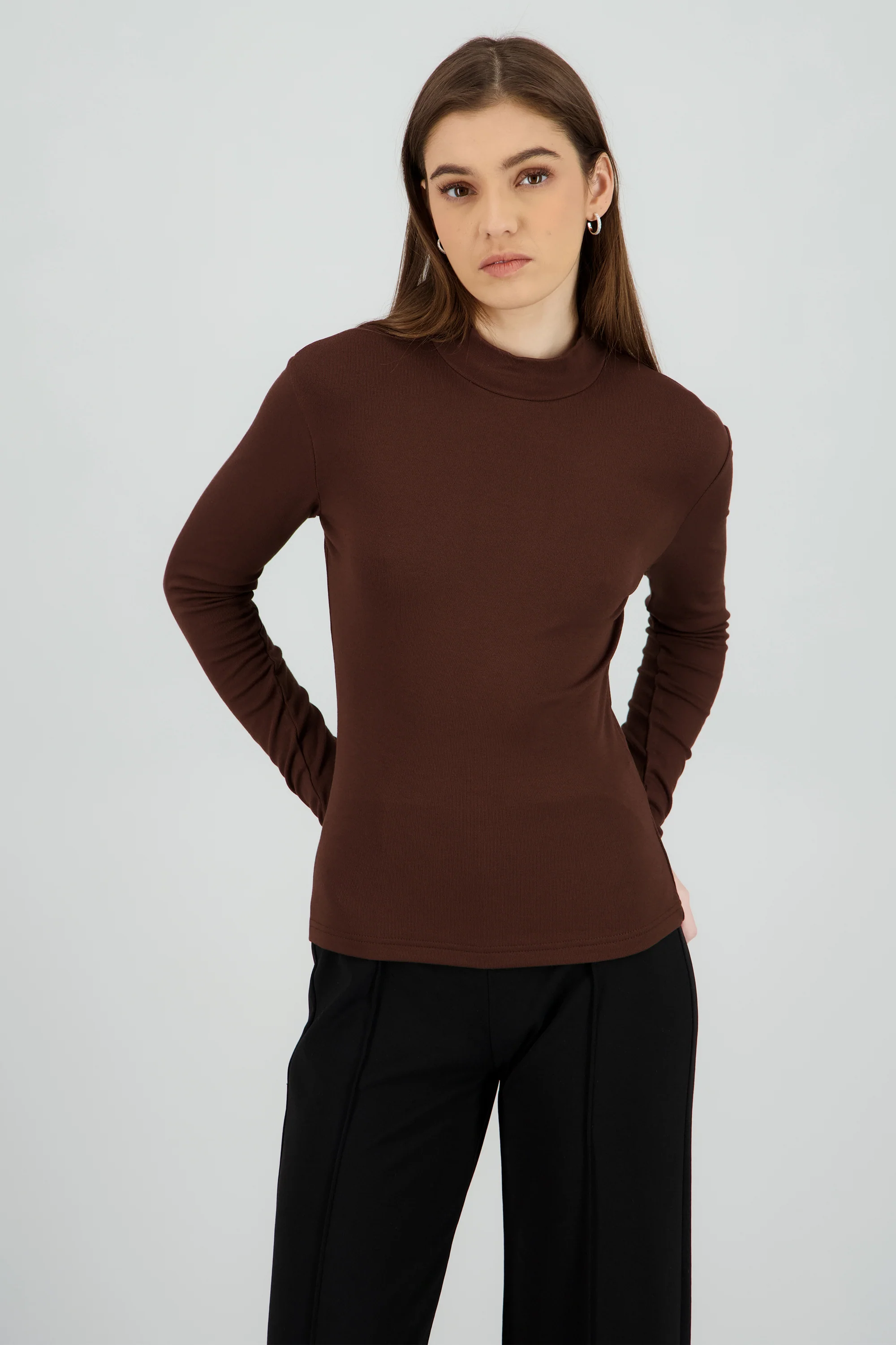 Top de manga larga con cuello alto